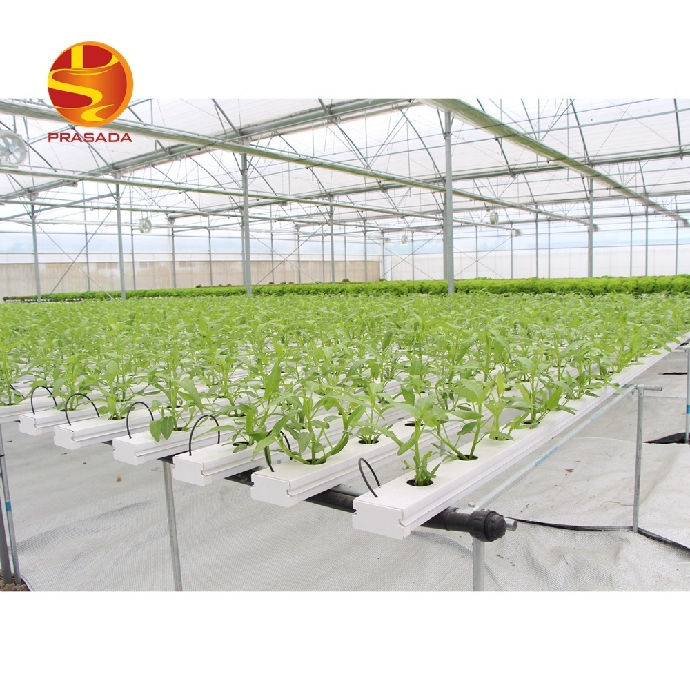 Prasada Greenhouse commercial lettuce farm NFT hydroponic system indoor hydroponic grow system