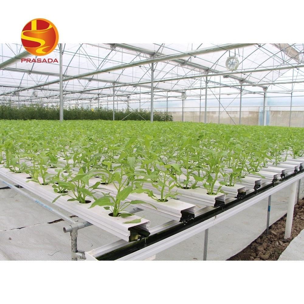 Prasada Greenhouse commercial lettuce farm NFT hydroponic system indoor hydroponic grow system