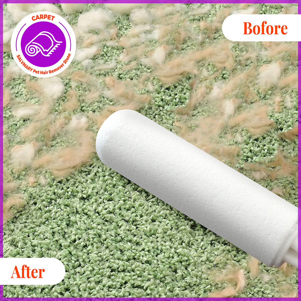 Household Sanitary Cleanup Pet Hair Removal Stone Dog Hair Remover Brush for Cleaning