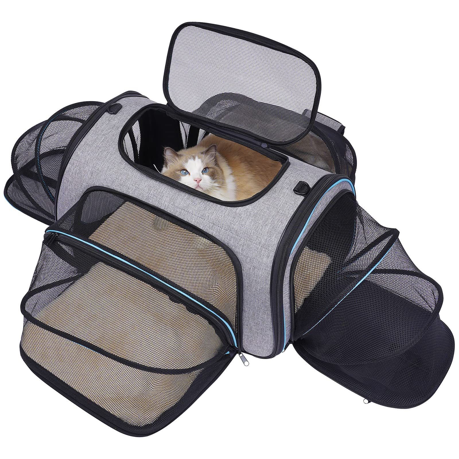 OEM Travel Pet Backpack Cat Carrier Backpack Expandable Extra Large Adjustable Airline Approved Bag,Small Dog Carrying Backpack