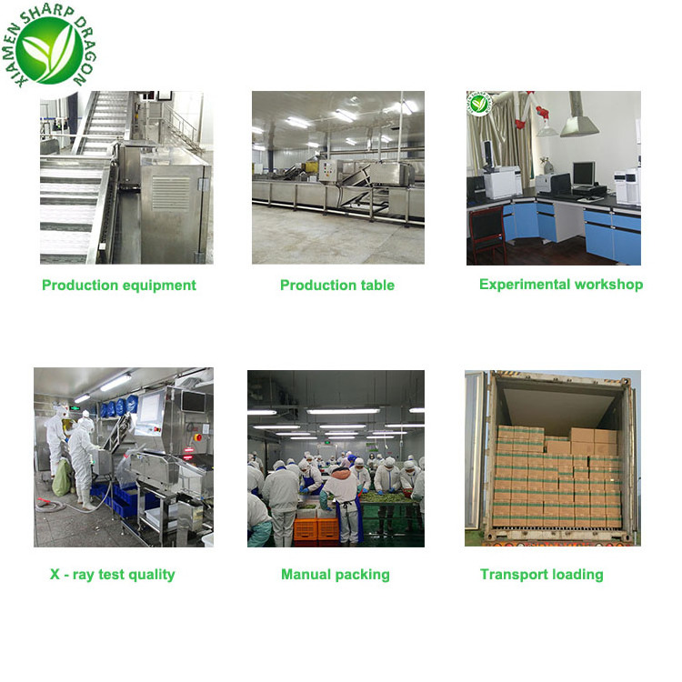 Processing plant export bulk price cipsy potatoes frozen french fries production line