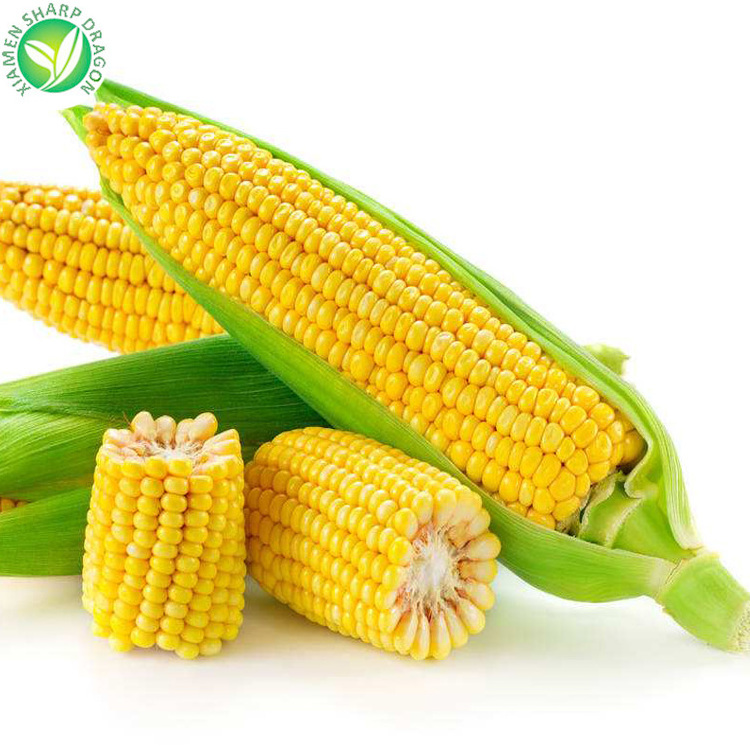 Frozen IQF Steam Organic Best Sweet Uncooked Healthy Cut Corn on the Cob freezing without blanching in a bag Bulk Price