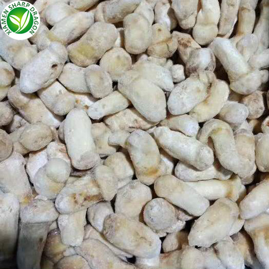 IQF Best mushroom frozen tricholoma matsutake