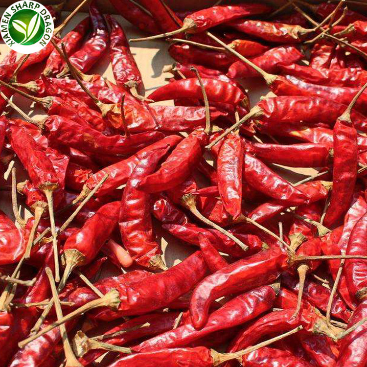 Dried Dry Red Bell Hot Chili Chilli Pepper Spice Buyers Price Per Kg Wholesale Factory Bulk Fast delivery