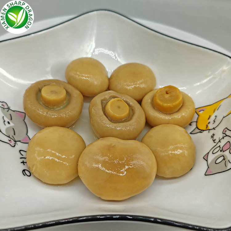 Salt Dry Edible Organic Healthy White button Champginon Botton Mushroom Canned from CN Foods Tinned Packaging 2.5 Kg OEM China