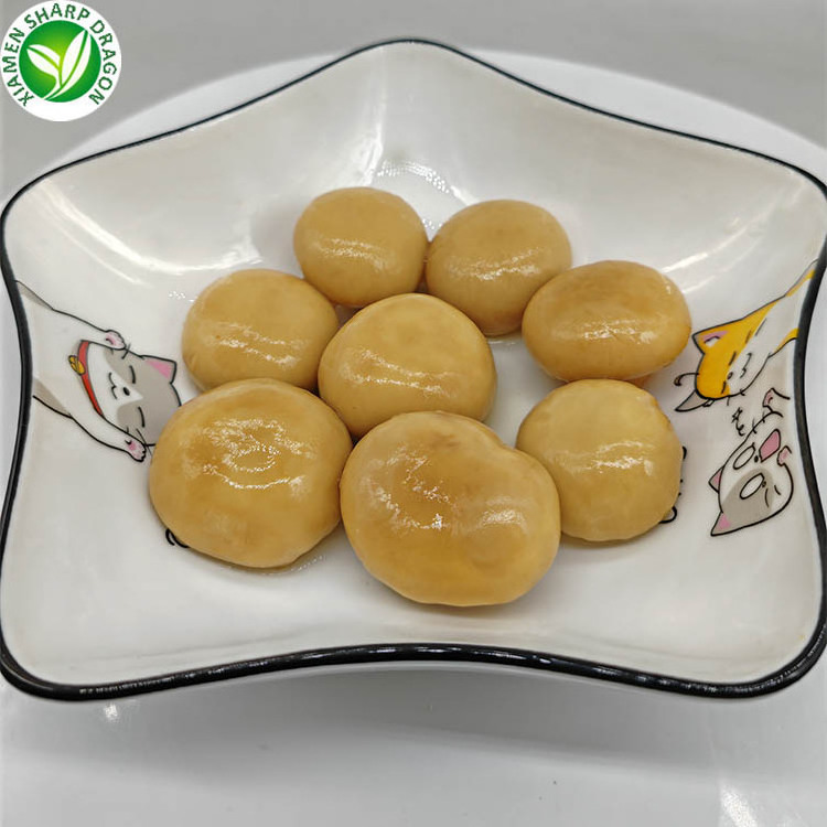 Salt Dry Edible Organic Healthy White button Champginon Botton Mushroom Canned from CN Foods Tinned Packaging 2.5 Kg OEM China