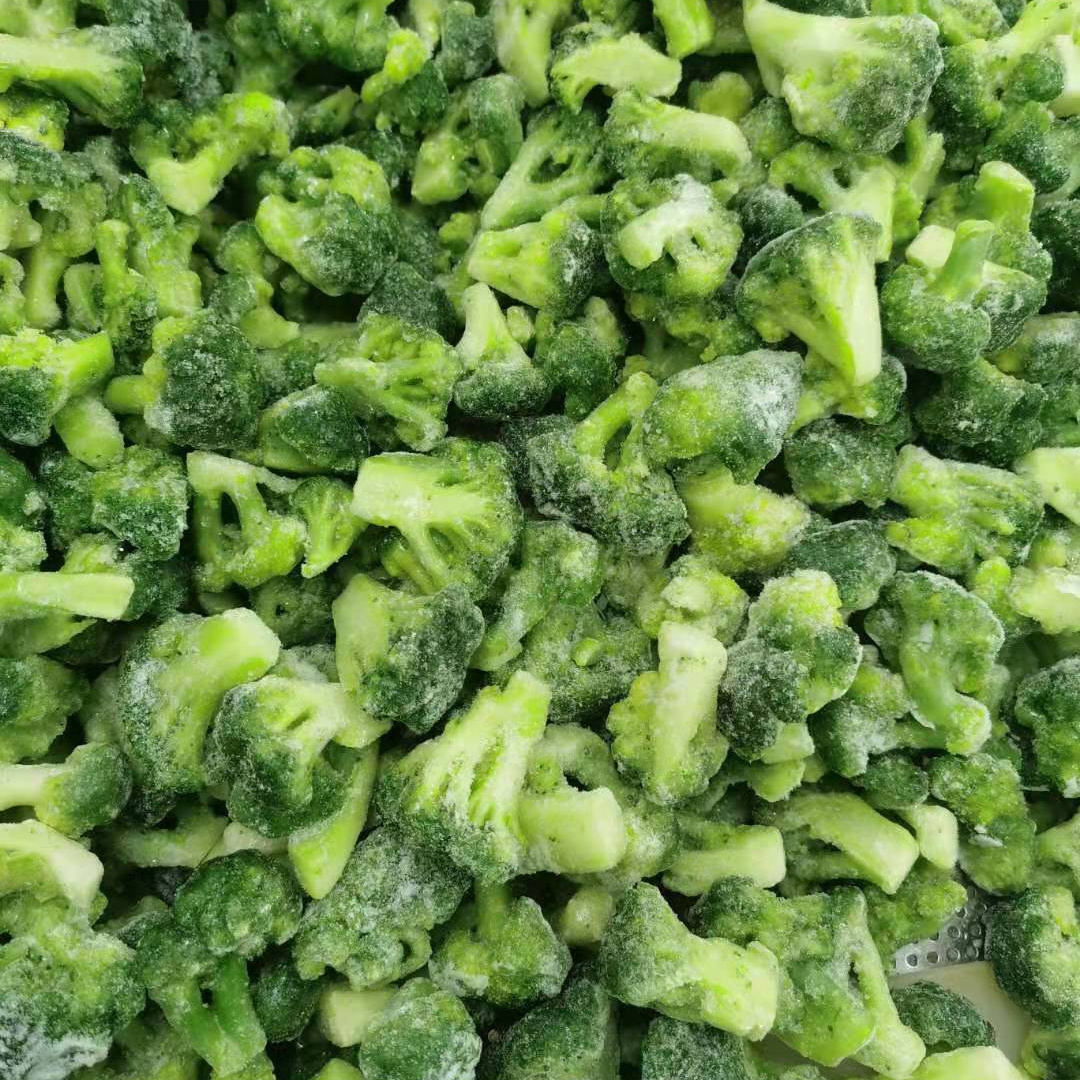 Wholesale prices iqf chinese frozen broccoli florets for product specification