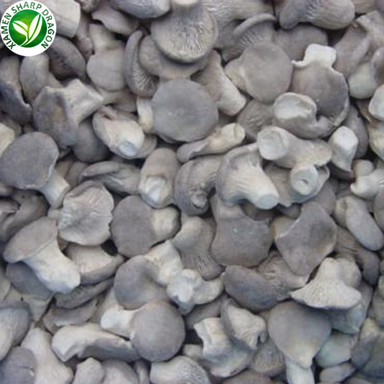 IQF Wholesale 1kg price raw frozen fresh White Grey wild pleurotus ostreatus oyster pearl brown mushroom phoenix oyster fungi