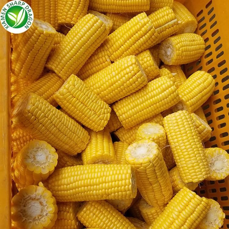 Frozen IQF Steam Organic Best Sweet Uncooked Healthy Cut Corn on the Cob freezing without blanching in a bag Bulk Price