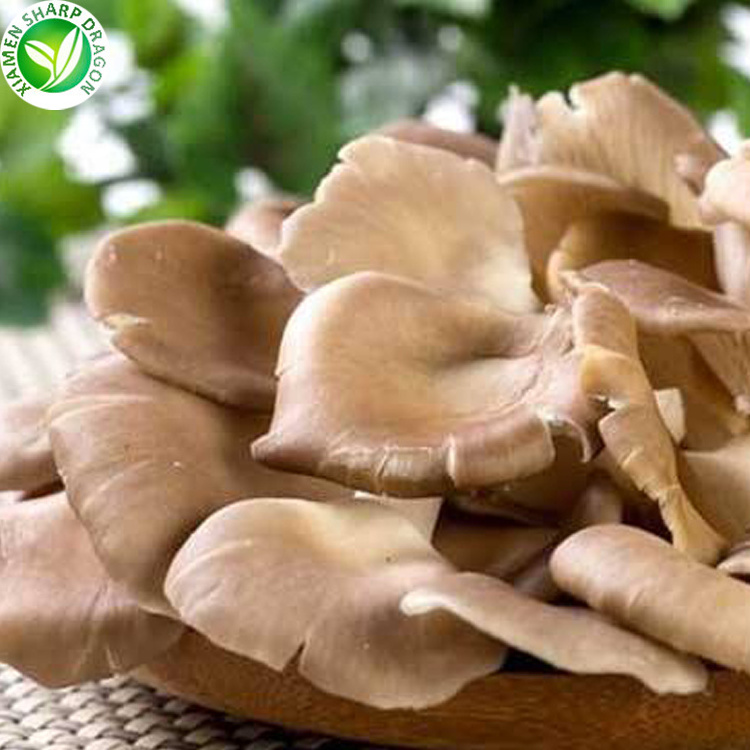 IQF Wholesale 1kg price raw frozen fresh White Grey wild pleurotus ostreatus oyster pearl brown mushroom phoenix oyster fungi