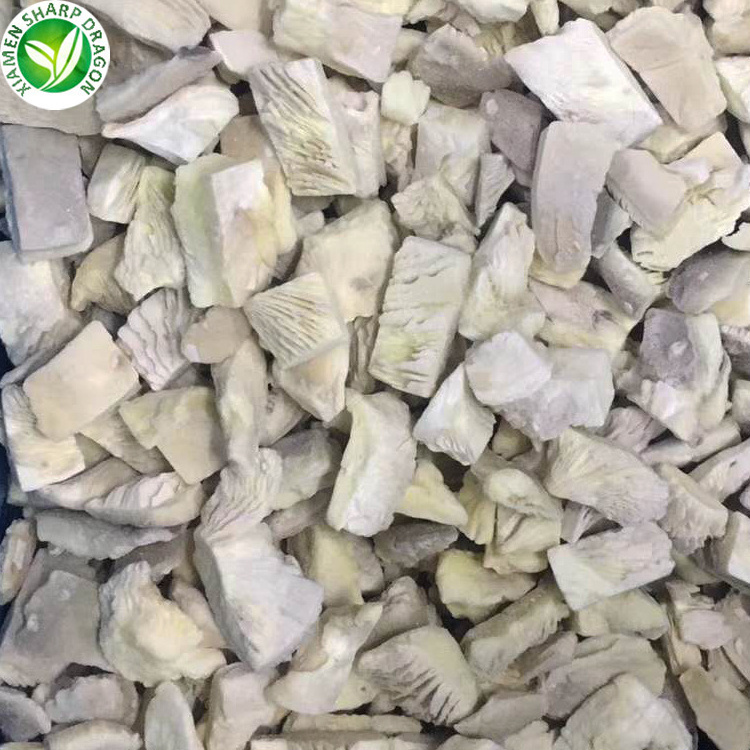 Wholesale export fresh raw oyster mushroom 1kg price frozen pleurotus ostreatus for buyers