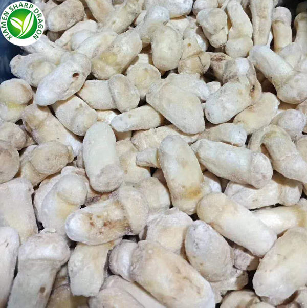 IQF Best mushroom frozen tricholoma matsutake