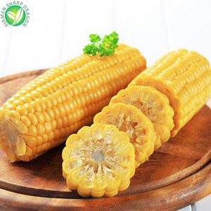 Frozen IQF Steam Organic Best Sweet Uncooked Healthy Cut Corn on the Cob freezing without blanching in a bag Bulk Price