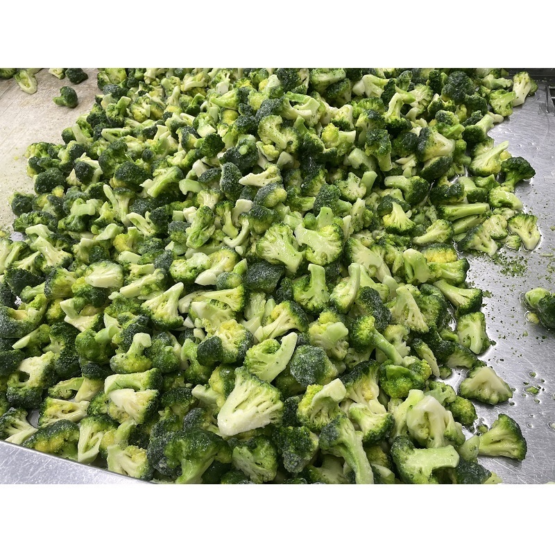 Bulk frozen broccoli flower florets