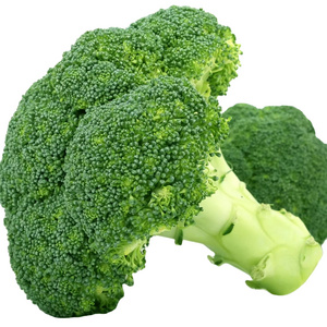 China pure frozen broccoli florets