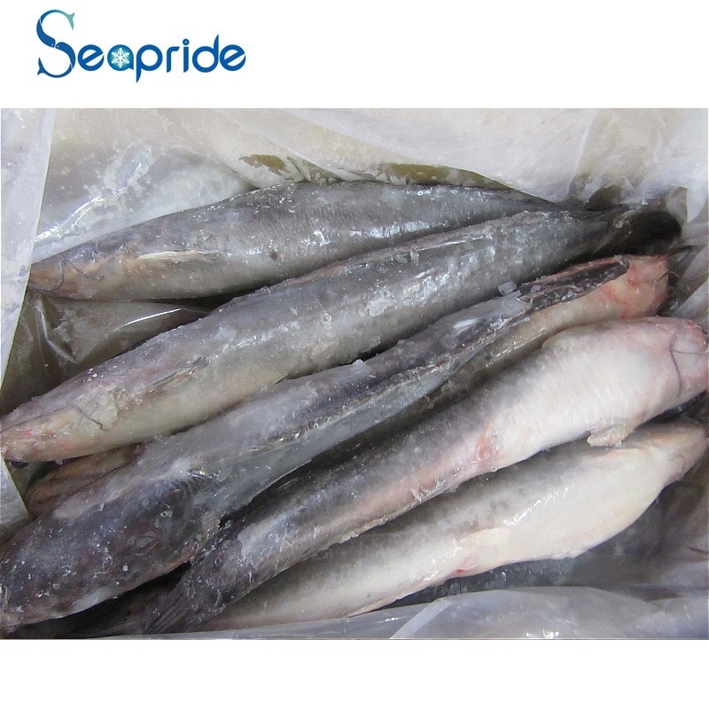 Fresh frozen catfish fillets food for sale