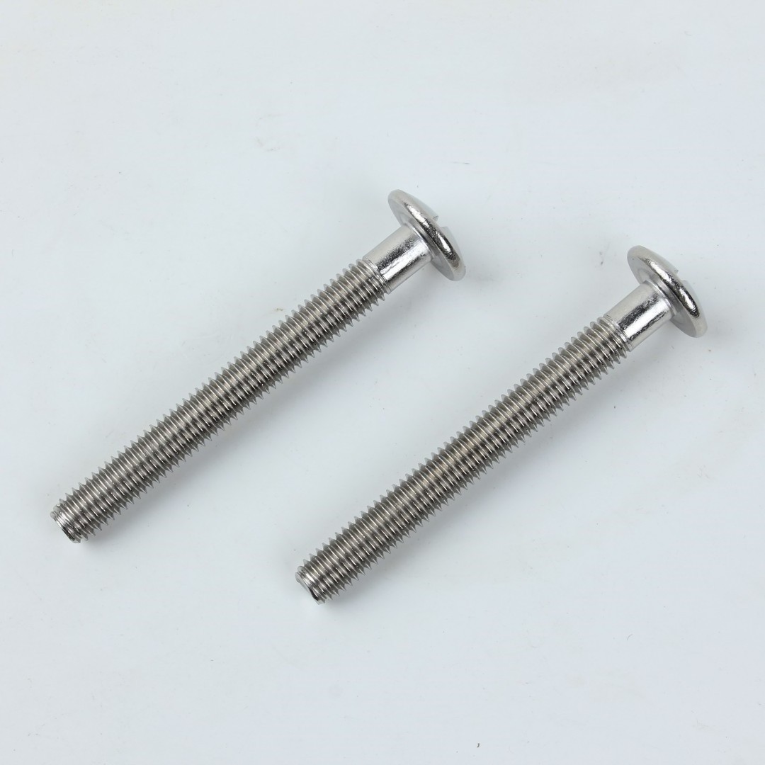 ISO1580/JISB1101T Stainless Steel 304 Mushroom Umbrella Slotted Truss Head slotted screw Machine Screws