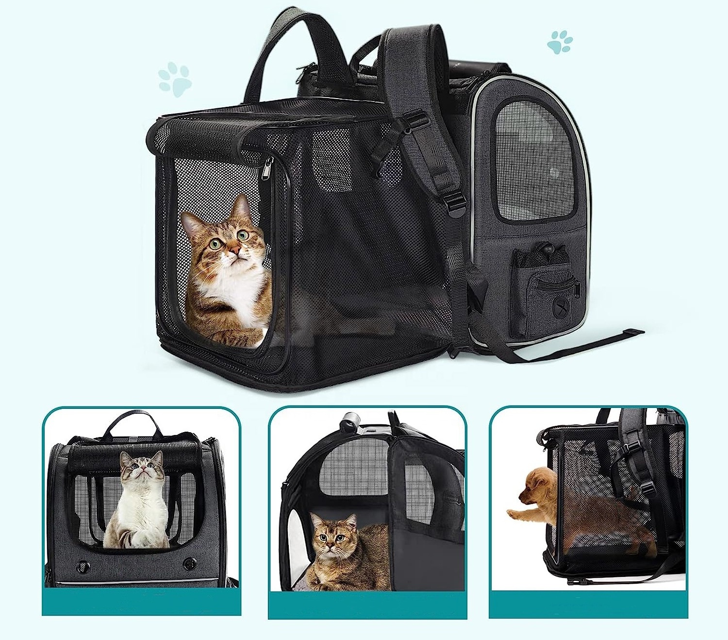 BSCI Factory High Quality Foldable Pet Backpack Carrier for Small Dog Custom Cat Backpack Expandable Cat Backpack Carrier