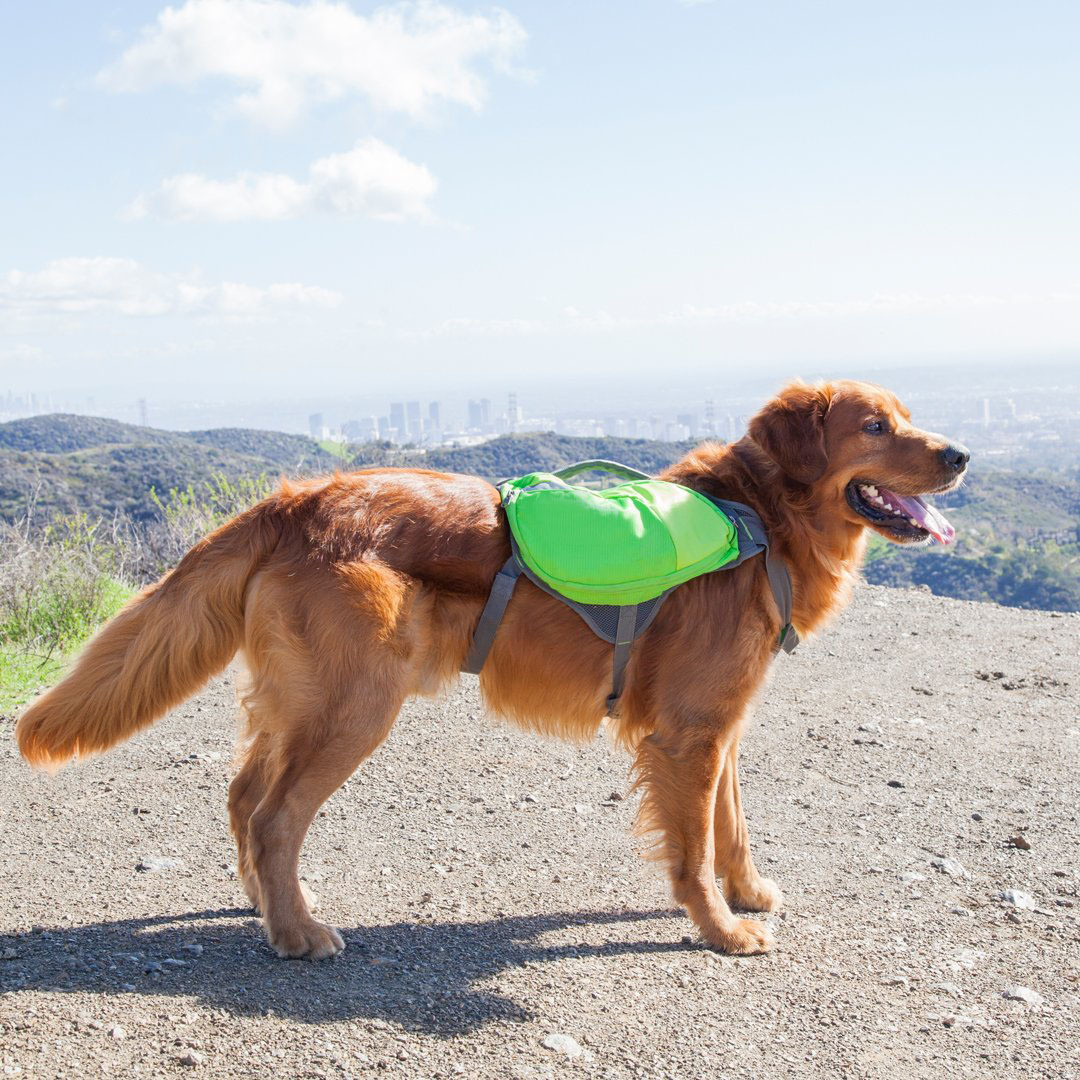 Lightweight Dog Saddle Backpack Traveling Camping Hiking Gear Pack For Dogs