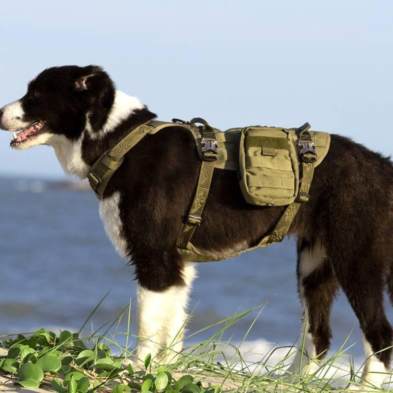 Outdoor Dog Pack Hound Travel Camping Dog Backpack Hiking Gear Bags For Dogs