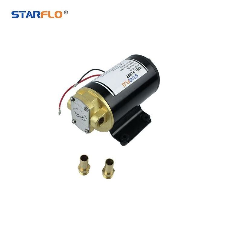 Small reversible pompa micro self priming diesel fuel transfer hydraulic lube DC 12v gear pump with motor