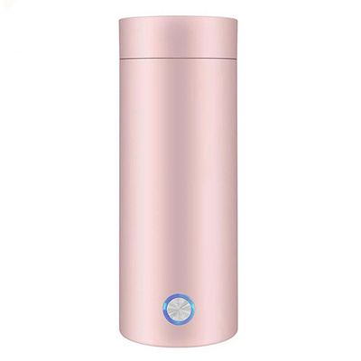 Electric Thermal Cup Make Tea Coffee Travel Portable Boil Keep Warm Smart Water Kettle Vacuum Flasks Thermoses