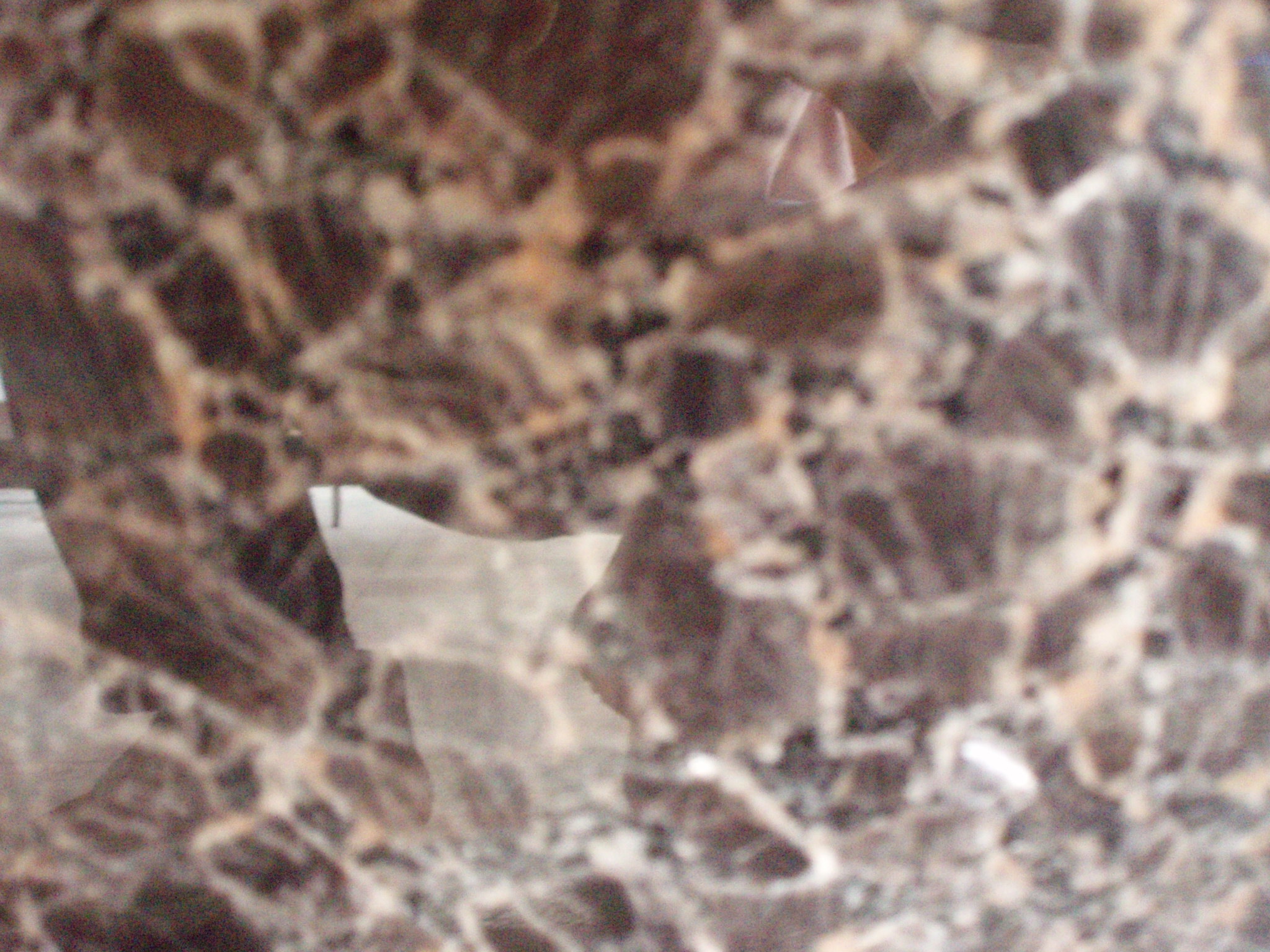 Imperial Brown granite for kitchen countertops Blocks Slabs Tiles cut to size borders available