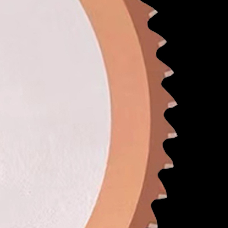 LIVTER High-Speed Circular Saw Blade for Stainless Steel Pipes Cutting in Cold Saw Machine