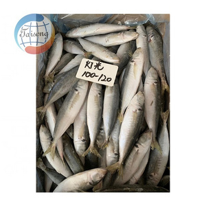 Light Catch IQF Seafood Scad Fish Frozen Round Scad IQF Round Scad Fish