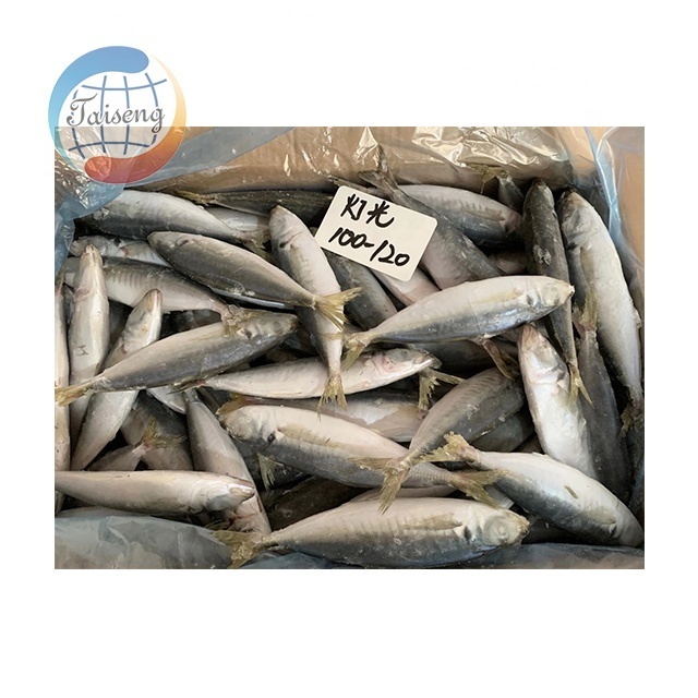 Light Catch IQF Seafood Scad Fish Frozen Round Scad IQF Round Scad Fish