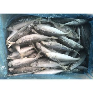 frozen round scad decapterus maruadsi frozen round scad whole round for sale