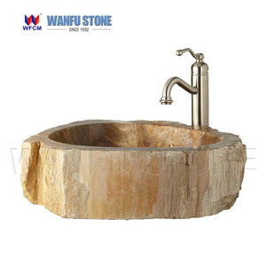 bathroom unique nature fossil stone petrified wood sink