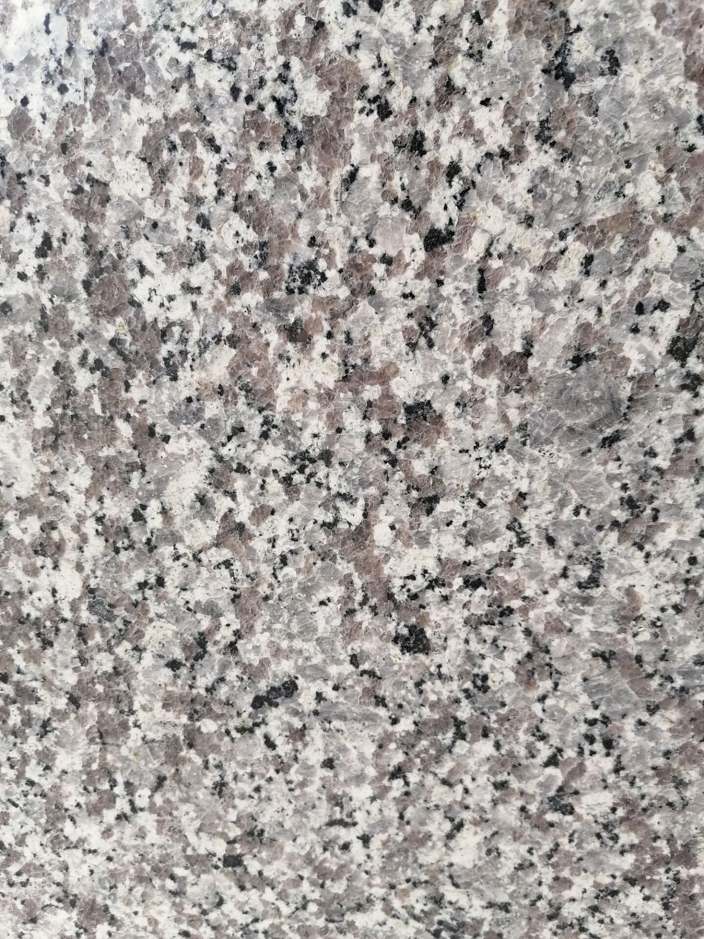 Customized Size Swan White Natural Granite Stone Countertops for Kitchen Bathroom with Polished Surface and Eased Edges