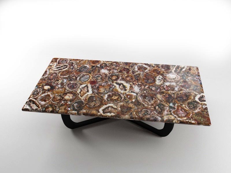 China petrified wood fossils semi precious stone slab table top for sale