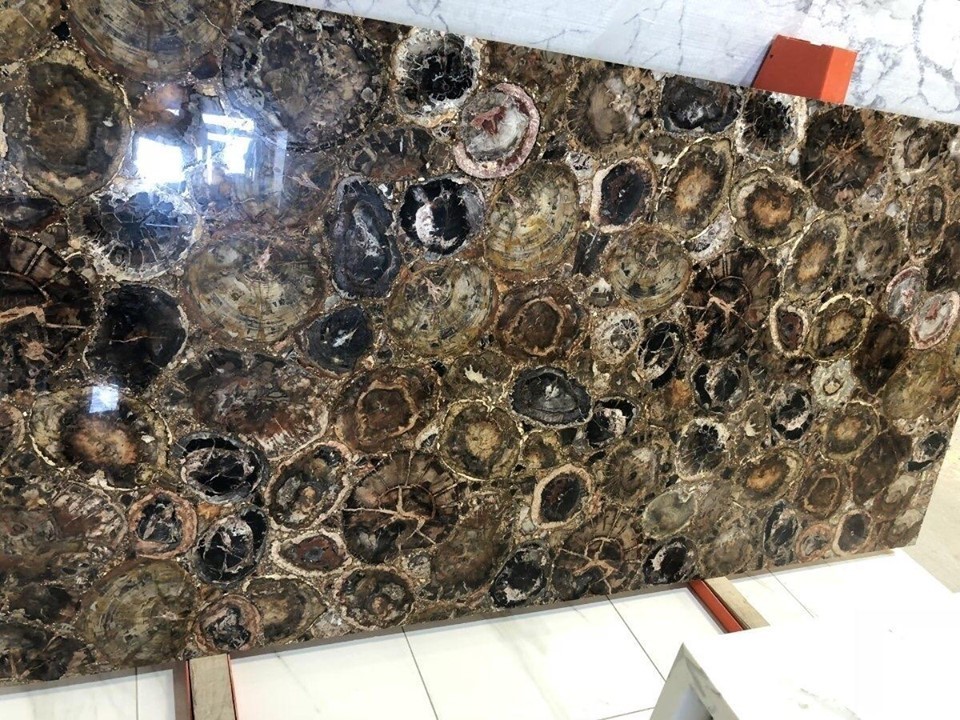 China petrified wood fossils semi precious stone slab table top for sale