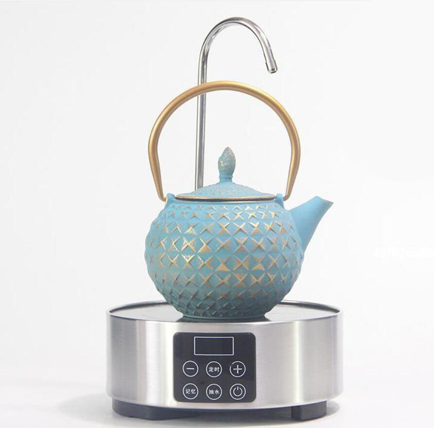 6 Hot sale Theiere Fonte Cast iron teapot with Stainless Steel Filter 0.8L tea pot kettle