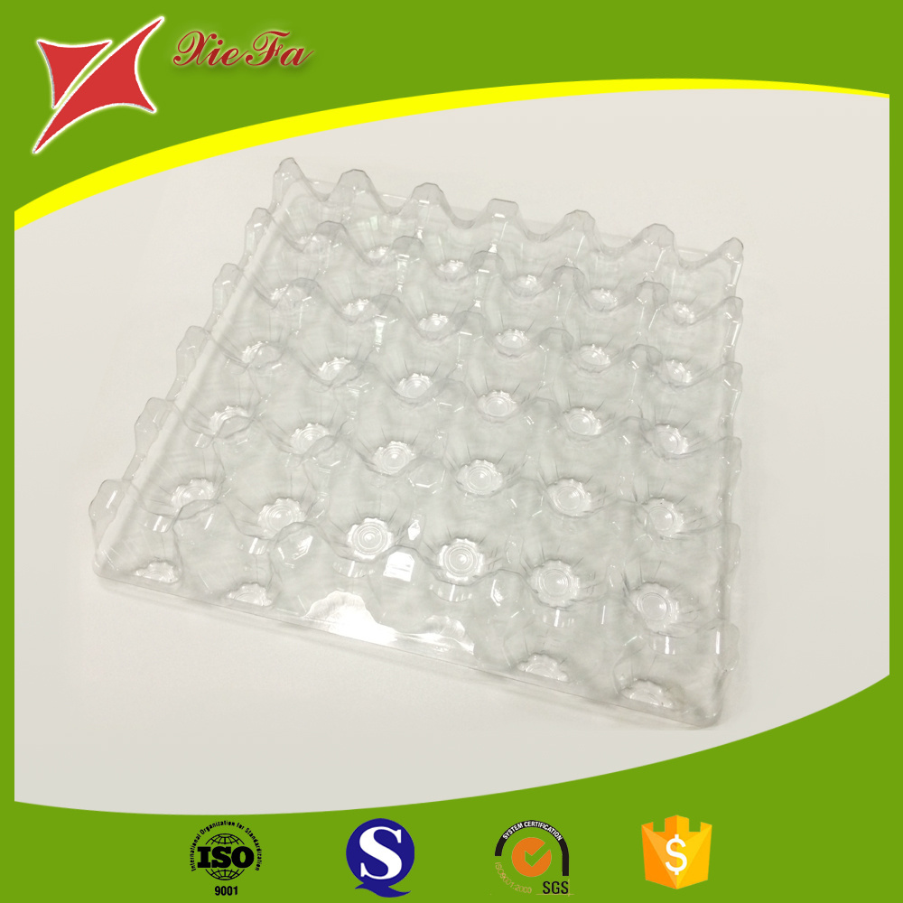 Good quality PET material quail eggs clamshell tray plastic blister packaging