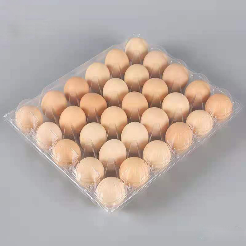 Half Dozen Clear Plastic Egg Carton 6 Cell PET Egg Tray/Box Disposable Blister Packaging for Supermarket Use Industrial Purposes