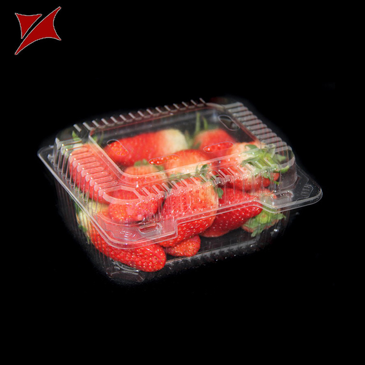 Transparent Fresh Fruit Box Packaging Plastic pet Strawberry Fruit Tray Containers