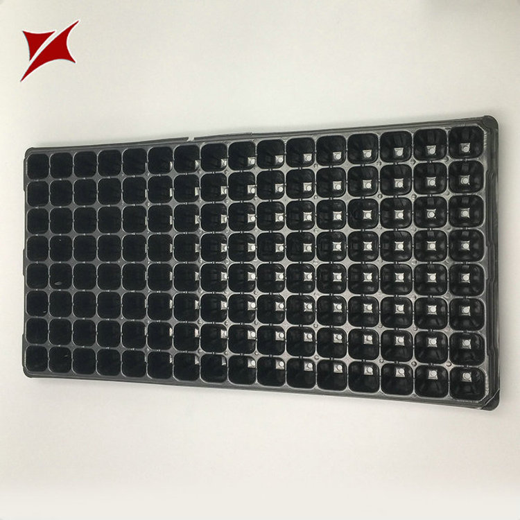 Plastic Material Black Vegetable Plant Seed Germinatioppgrowing Tray Custom Logo PET Customized Nursery Trays & Lids PE Coated