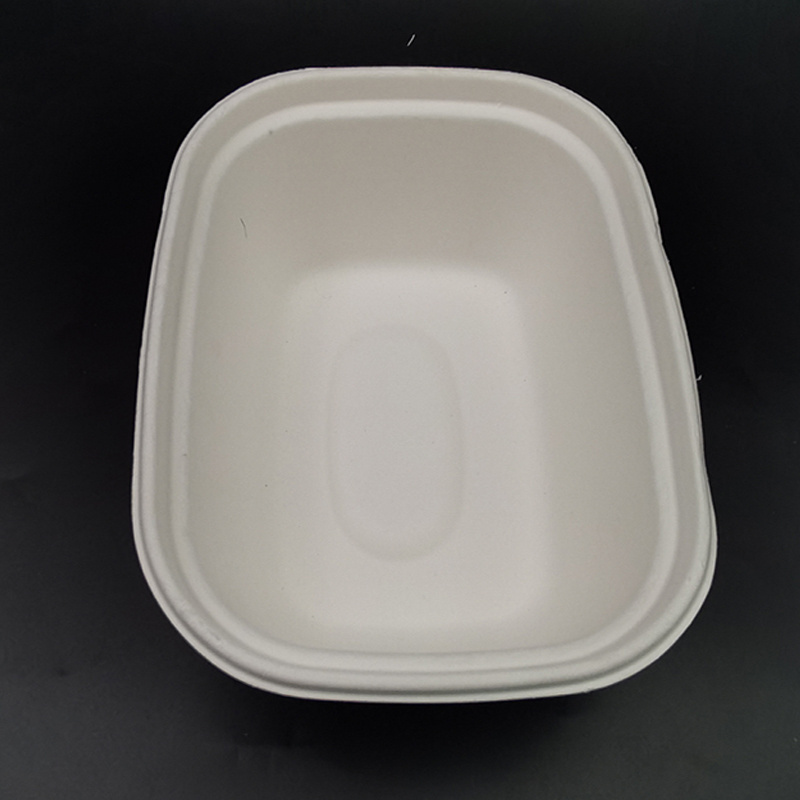 Disposable tableware biodegradable  sugarcane bagasse dishes compostable  eco friendly plates