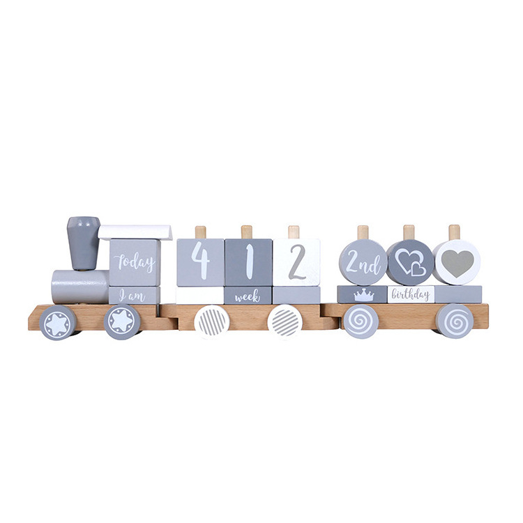 Hot Selling New Style Beech Wood Simple Train Track Toys Simulated Mini Train Track Set For Kids