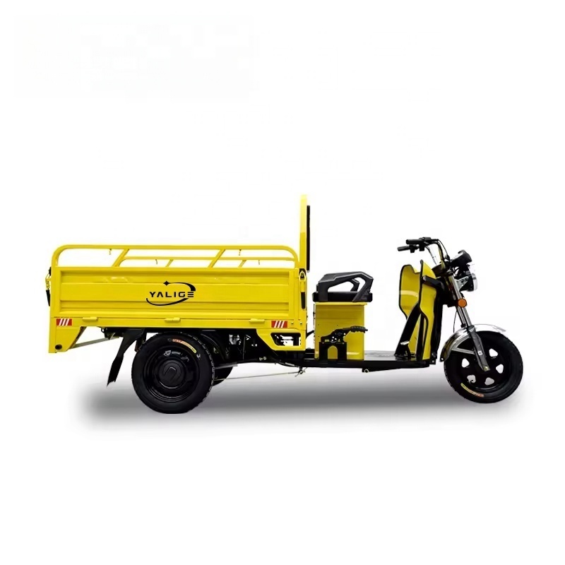 Vehicle Manufacturer OEM/ODM 800W/1000W/1500W 1.5m/1.8m 3 Wheel Cargo Tricycle Motorcycle Three Wheel Cargo Motorcycles