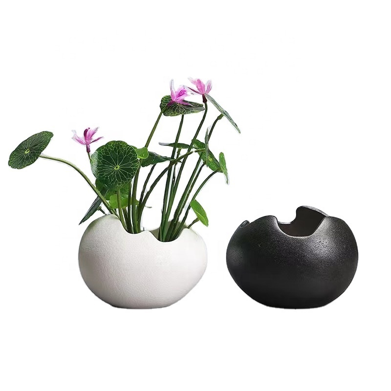 Wholesale Hot Selling Egg Shaped Ceramic Pots For Plants