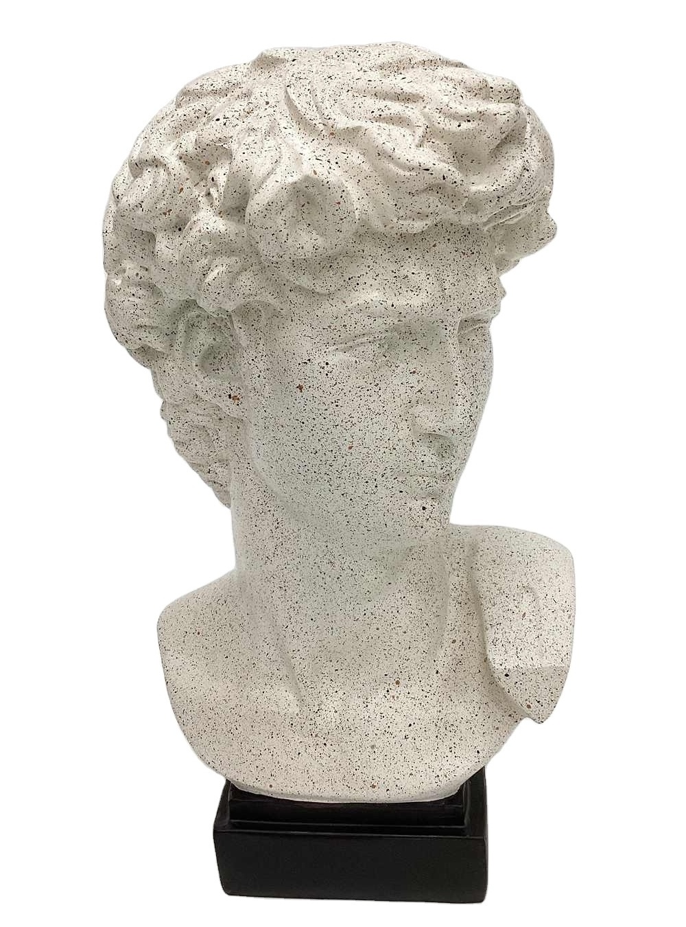 Customized Indoor Home Decor Life Size Bronze white with base David Statue Bust