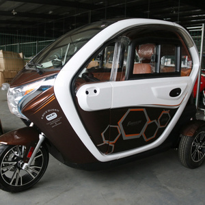 2024 New Cheep Electric Closed 3 Wheel Car For Sale