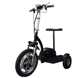 500w zappy electric scooter ( HL-01)