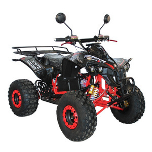 Dune buggy EEC CE approved electric ATV UTV 2000W 4000W off-road 8 inch tire for adult