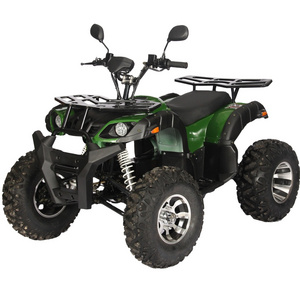 Shaft drive adult hills electric ATV Quad 1200W 1500W 2000W dune buggy with 10-inch alu wheel