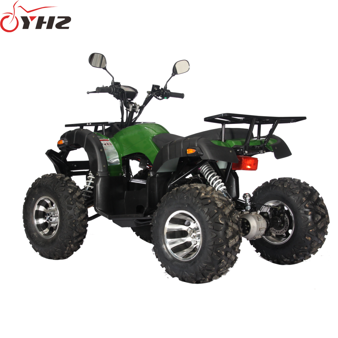 Shaft drive adult hills electric ATV Quad 1200W 1500W 2000W dune buggy with 10-inch alu wheel